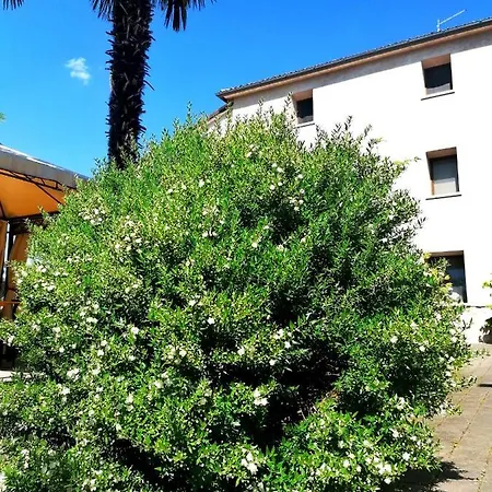 Da Andreina 3* Borso del Grappa