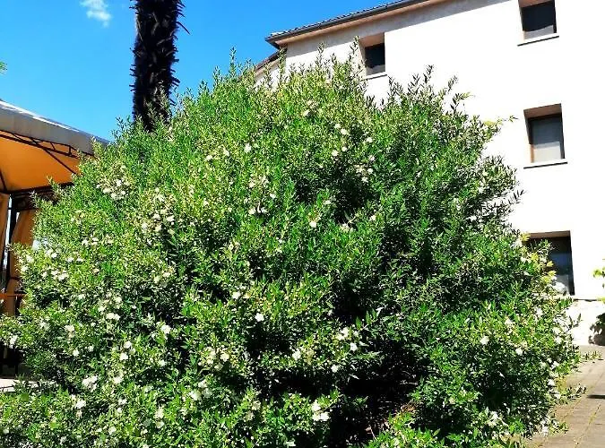 Da Andreina 3* Borso del Grappa